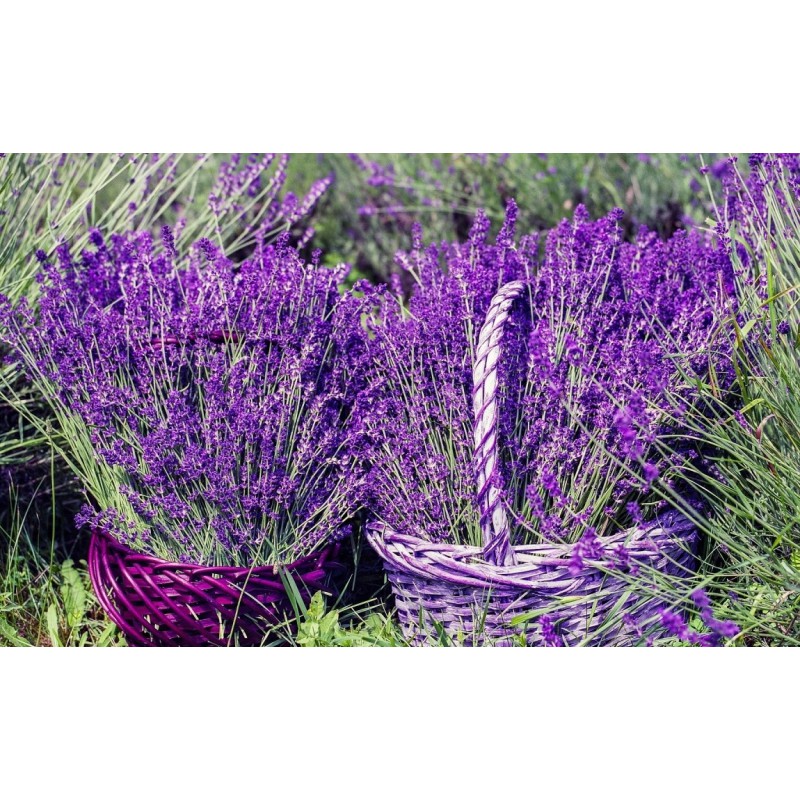 589c490b825bfcd224f125b052b4ee1f