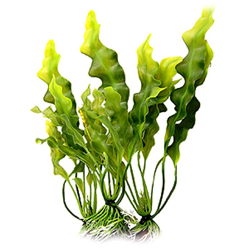 de33918da843bfc2ee478b4ec40ebfc2