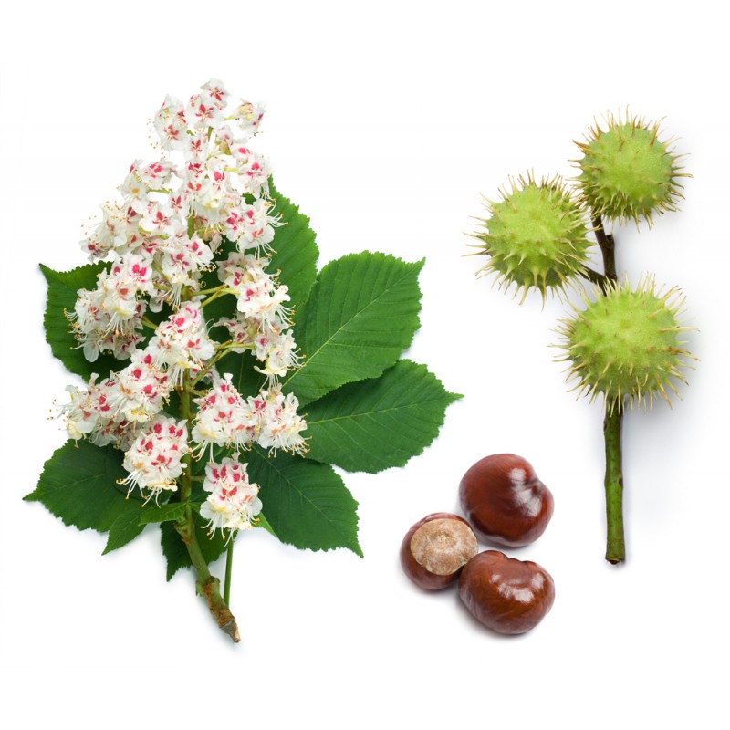 9b9f75264c71a8c3841073ecc9e99f04