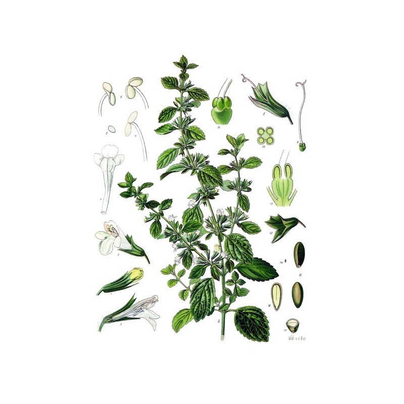 d9e46492b9703a87a456ef9680a05c7b