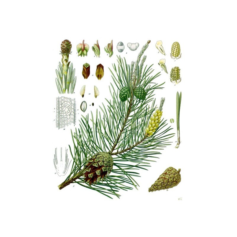 c6edacd106b75d122d7ca41660fa6852