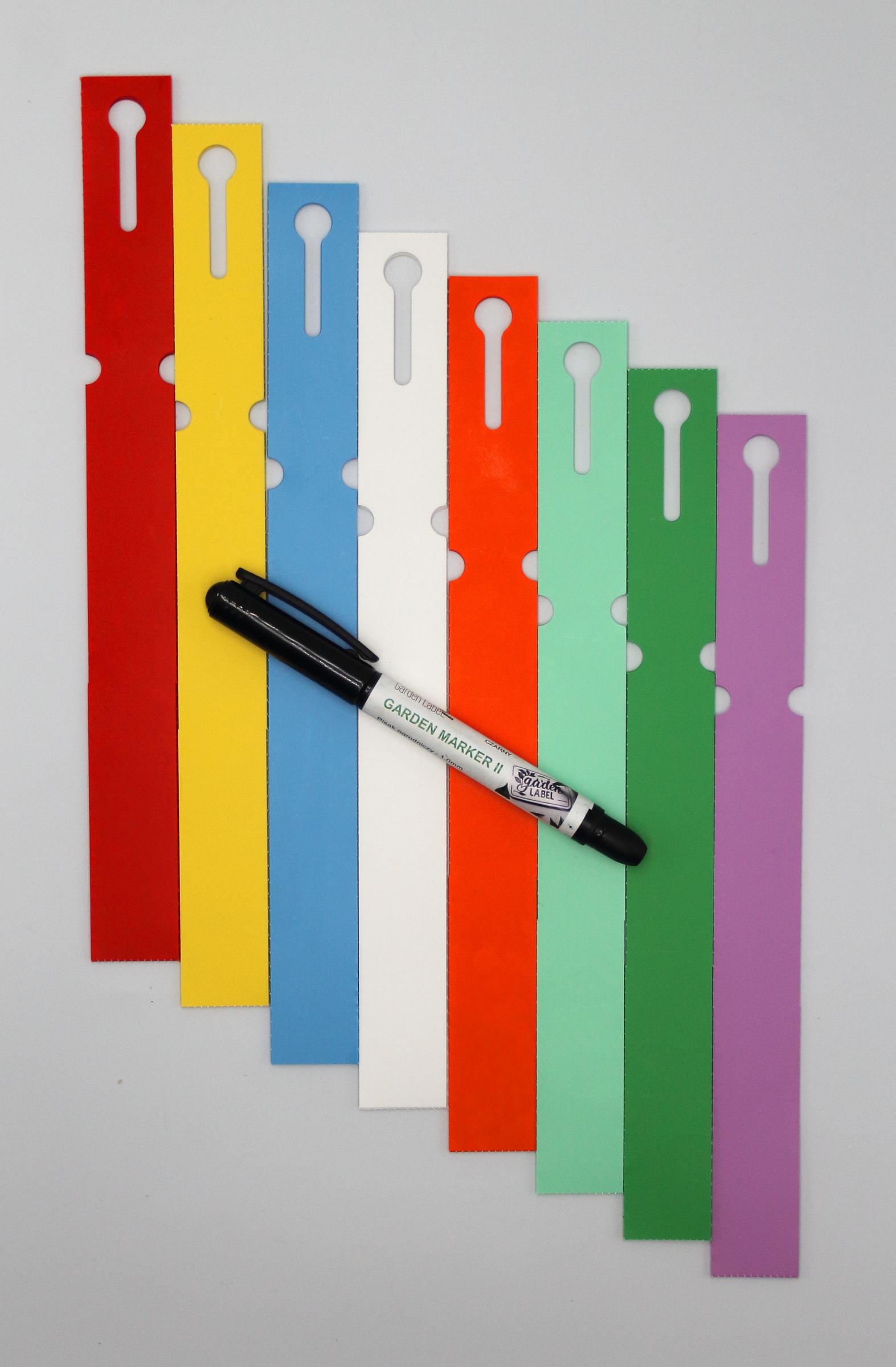 6e0ef3134814b9b33fdbcdcfc68dca56