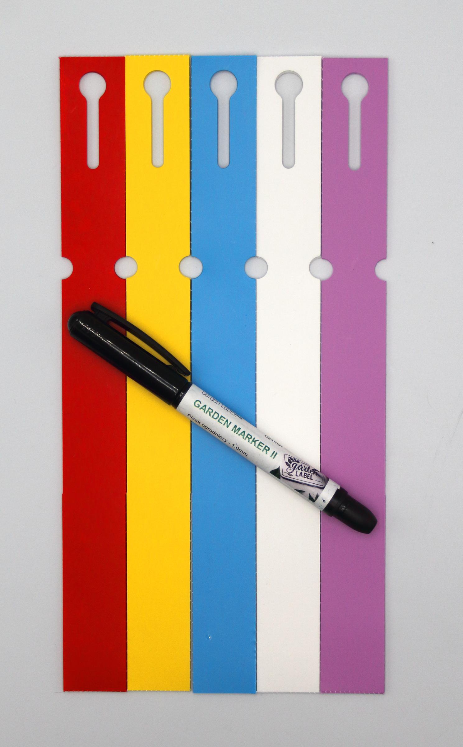 6f93abd339244796b770b8daa3970edd