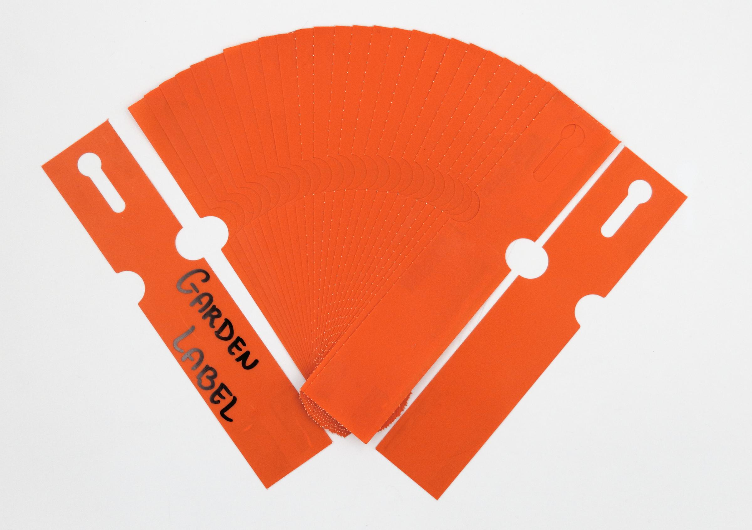 d8f71fb835e63a90379df04a31531499