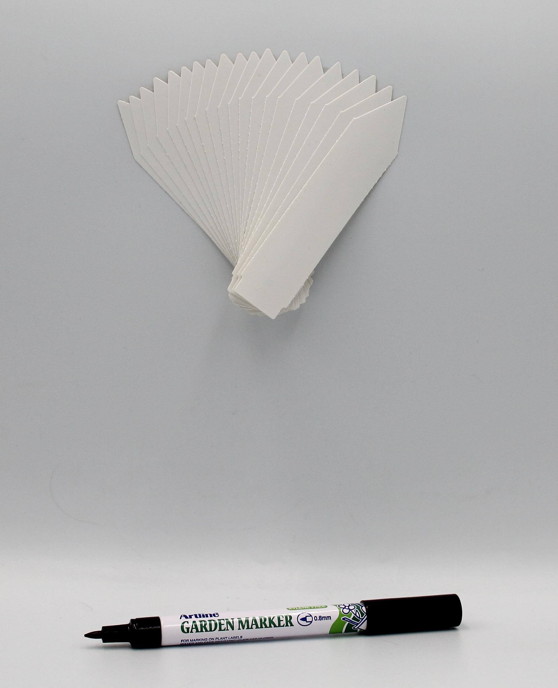 27c63a6f87afb5669439adbed9dc902a