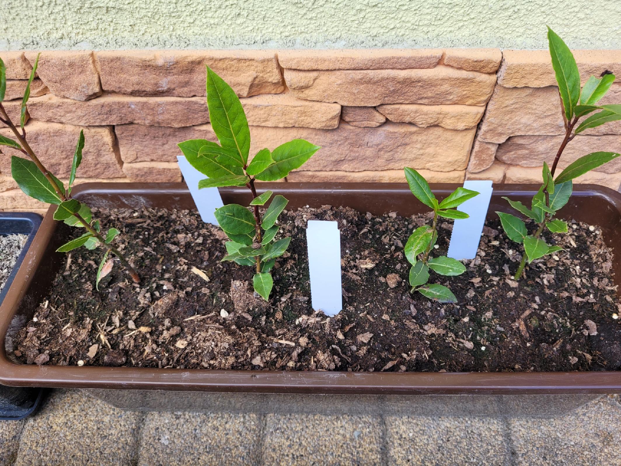 76bfbb38b426ef7a1505caae7a5fa0b9