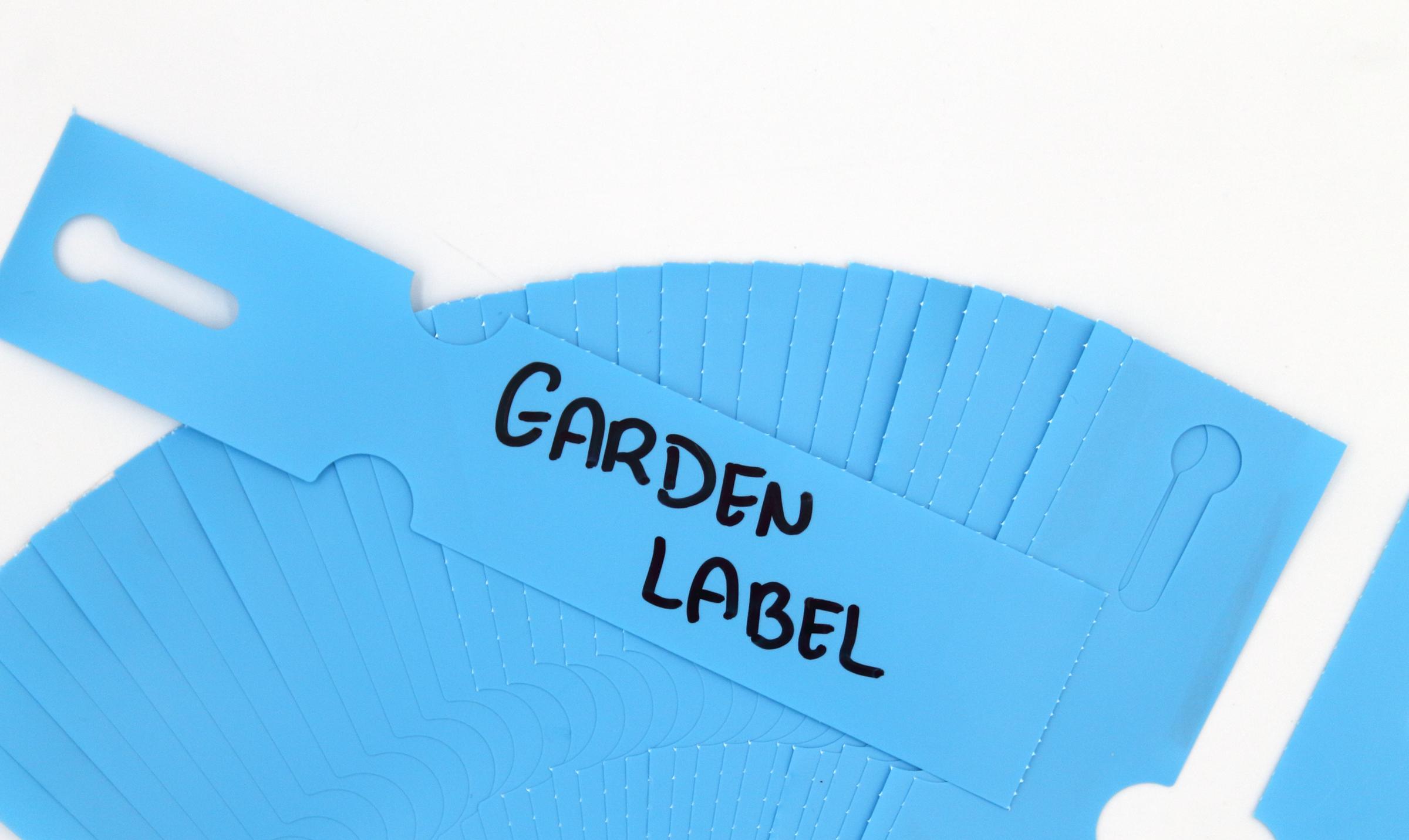 178e8497206b4ef399425ee75af38a19