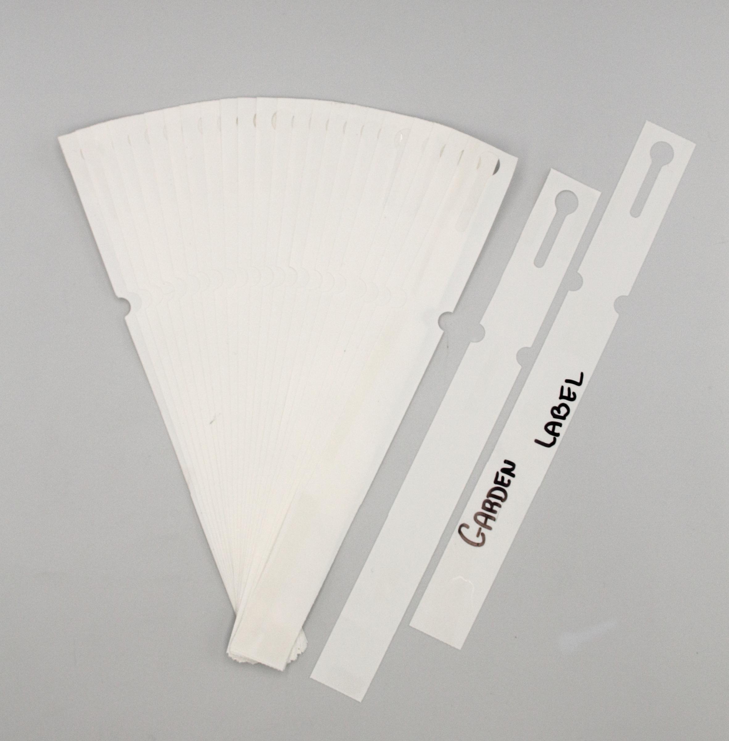 406ec6cc3ba479e919d77716c825dd04