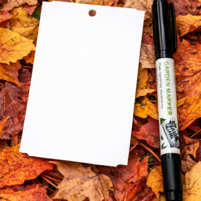 6871752a60d740661611716fe044c5d9