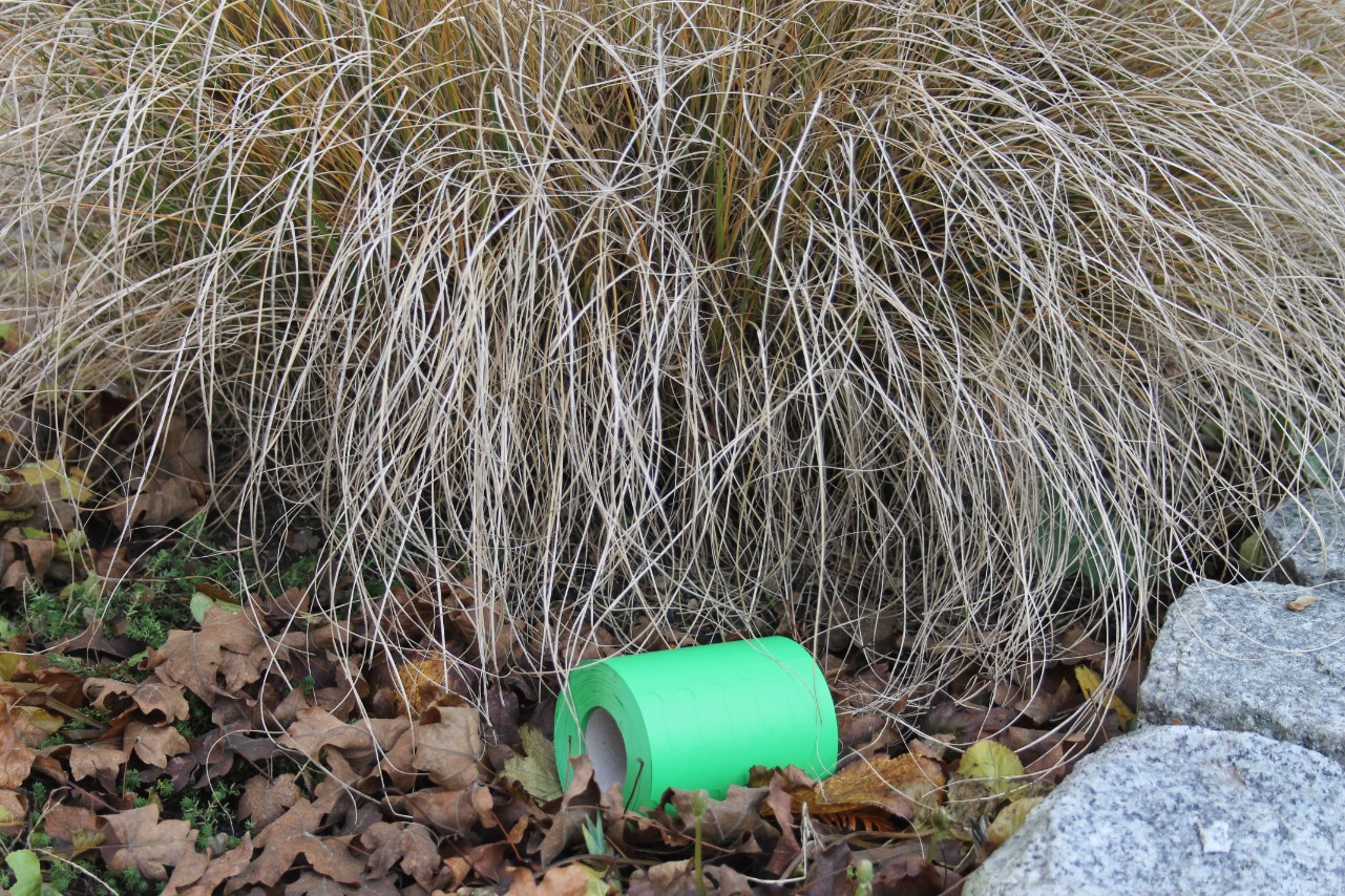 b66b4acbb4ec9e991f122d52eb754f34