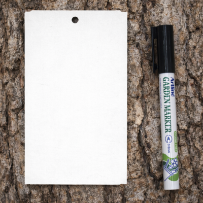 85b7de6f5bf80c1663b434a1f8517cdc