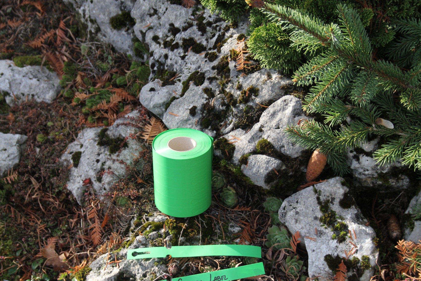 7c1a9bc059fbd2bdfa78d538434e3081