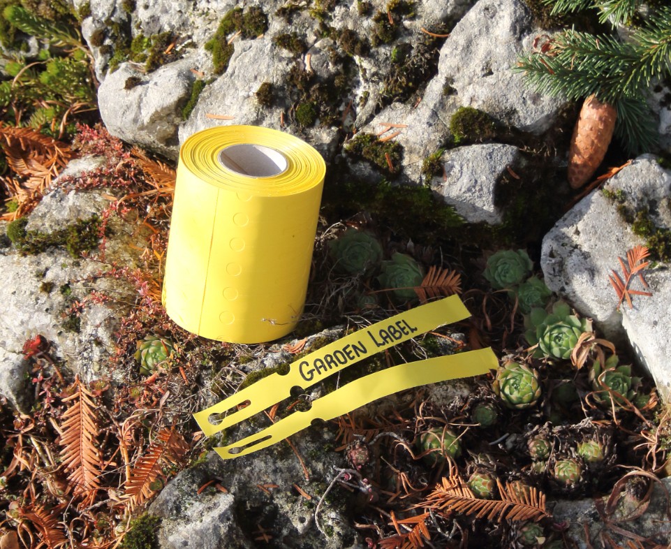 d6a772b802c567c503aaaf68993a7fda