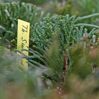 f76e99753066a7e85eb71b6c0ebc5837